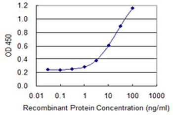 TSC22D3 monoclonal antibody (M02), clone 2B2