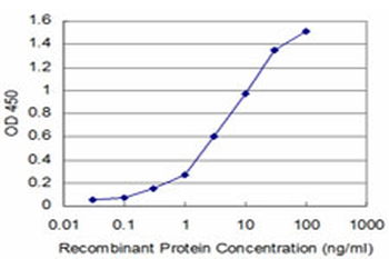 DNTT monoclonal antibody (M01), clone 4H5