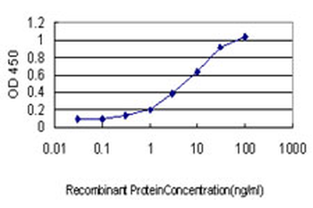 DNM2 monoclonal antibody (M01), clone 6C9