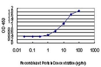 DLX2 monoclonal antibody (M06), clone 2C8