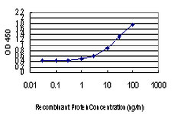 DLX2 monoclonal antibody (M05), clone 2E12
