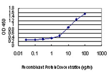 DLX2 monoclonal antibody (M02), clone 4B9