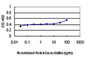 DLX2 monoclonal antibody (M01), clone 2H2