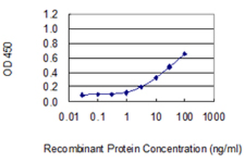 DKC1 monoclonal antibody (M04), clone 3E10