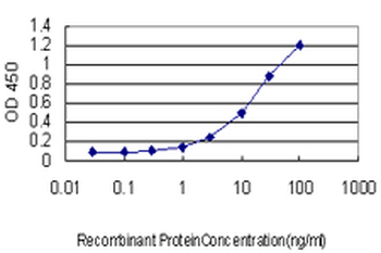 NQO1 monoclonal antibody (M01), clone 1E3-A6