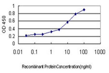DHODH monoclonal antibody (M01), clone 6E1