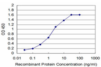 DHFR monoclonal antibody (M01), clone 2B10