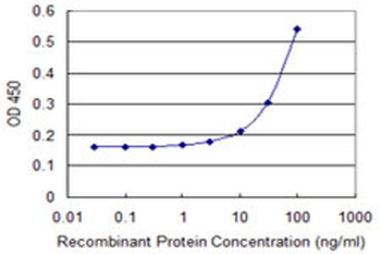 DDT monoclonal antibody (M04), clone 1D5