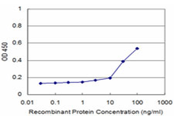 DDT monoclonal antibody (M01), clone 1G1
