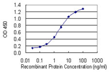 DCTD monoclonal antibody (M01), clone 4B9