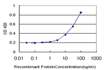 DCK monoclonal antibody (M08), clone 1D12