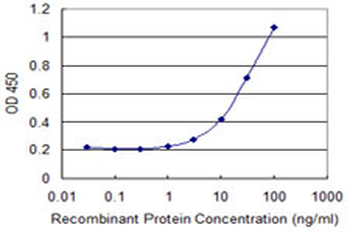 DGKA monoclonal antibody (M02), clone 2B7