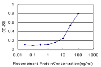 CYP2J2 monoclonal antibody (M01), clone 2D10