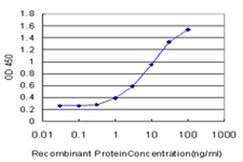 CYP1B1 monoclonal antibody (M03), clone 2F8