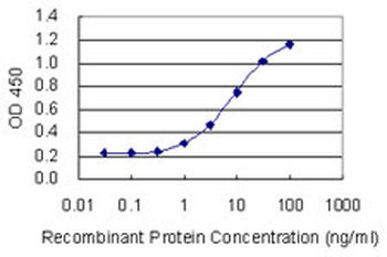 CYP1A2 monoclonal antibody (M10), clone 3D2