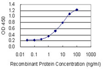 CYP1A2 monoclonal antibody (M09), clone 4B3