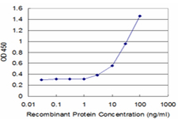CX3CR1 monoclonal antibody (M07), clone 10D5