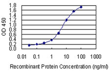 CTNND2 monoclonal antibody (M02), clone 1E3