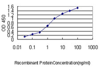 NKX2-5 monoclonal antibody (M01), clone 1E4-G5