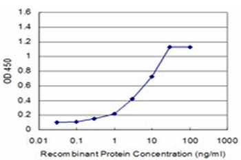CSRP1 monoclonal antibody (M06), clone 2A11
