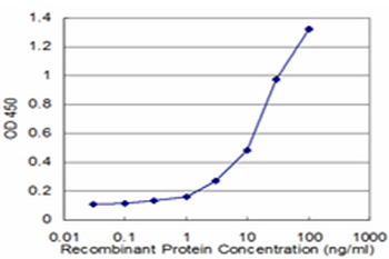 CSNK2A2 monoclonal antibody (M03), clone 1E8
