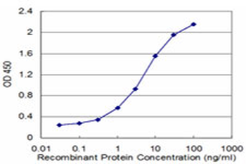 CSNK1G2 monoclonal antibody (M08), clone 2F5