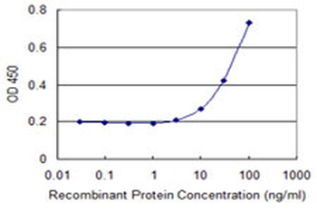 CSNK1G2 monoclonal antibody (M01), clone 3F4