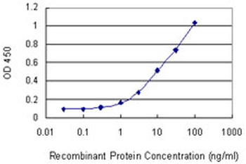CSNK1D monoclonal antibody (M09), clone 4H8