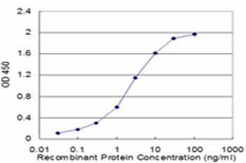 CRYGD monoclonal antibody (M04), clone 2H3