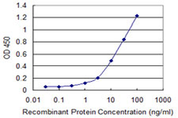 CRY1 monoclonal antibody (M02), clone 2G4-1F6