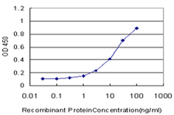 CRKL monoclonal antibody (M03), clone 4B5