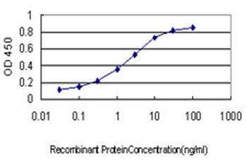 CREBBP monoclonal antibody (M01), clone 2H5