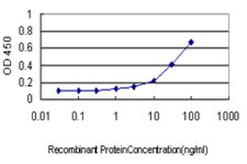ATF2 monoclonal antibody (M02), clone 1E12