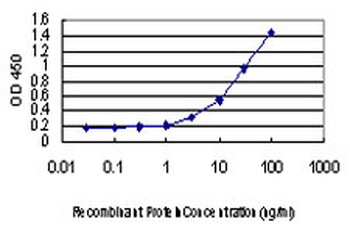 CREB1 monoclonal antibody (M02), clone 5F2