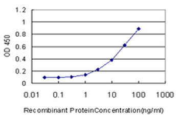 CREB1 monoclonal antibody (M01), clone 3F1-1B2