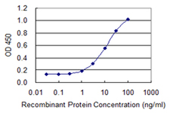 CRABP2 monoclonal antibody (M01), clone 4F2