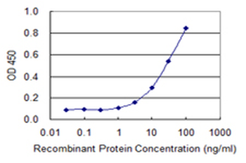 COX15 monoclonal antibody (M01), clone 2D2