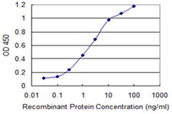 CNN1 monoclonal antibody (M03), clone 3C7-2A6