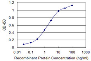 CNN1 monoclonal antibody (M01), clone 2F5-1H4