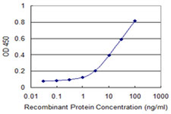 CLTC monoclonal antibody (M05), clone 2E5