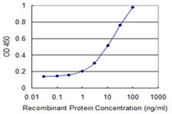 CLN3 monoclonal antibody (M03), clone 1G10