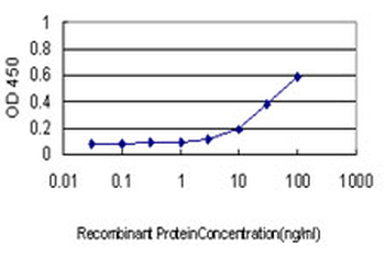TPP1 monoclonal antibody (M01), clone 3B1