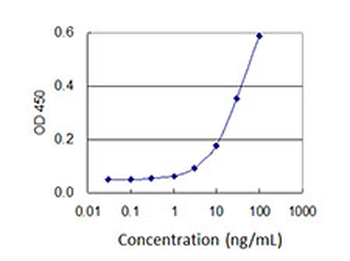 CLIC1 monoclonal antibody (M01J), clone 2D4