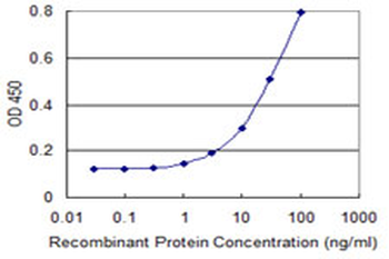 CLCN6 monoclonal antibody (M05), clone 2H2