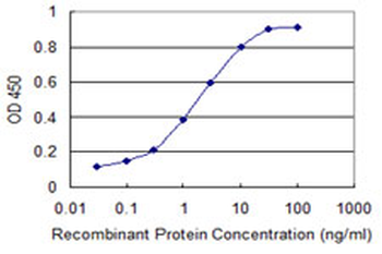 CHUK monoclonal antibody (M03), clone 4B8