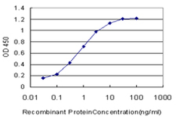 CHRM2 monoclonal antibody (M01), clone 4B5