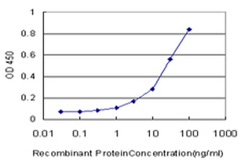 CDH4 monoclonal antibody (M01), clone 2E2