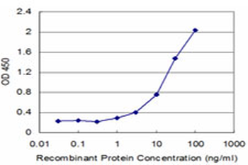 CDC5L monoclonal antibody (M08), clone 3C12