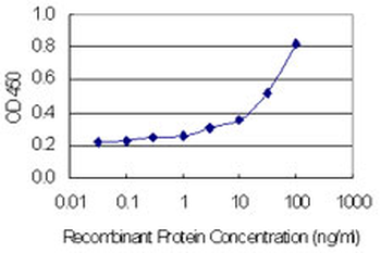 ENTPD3 monoclonal antibody (M02), clone 2A4