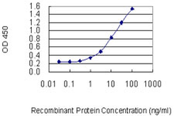 ENTPD3 monoclonal antibody (M01), clone 3E8